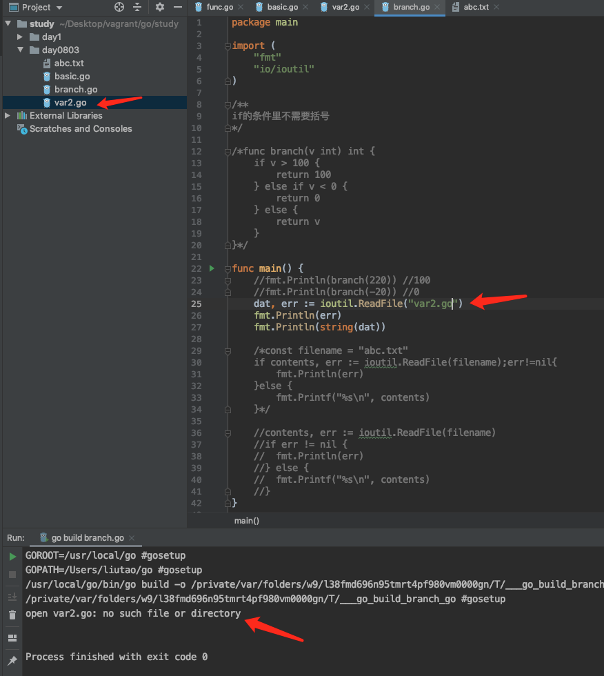 ioutil.ReadFile 读取文件内容时为什么读取不到文件呢?open var2.go: no such file or directory