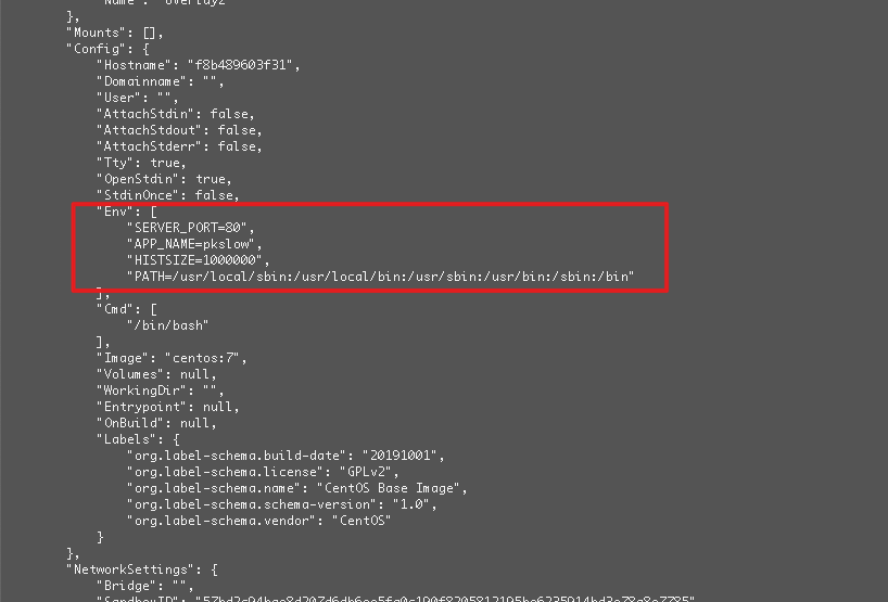 如何查看docker容器环境变量 如何向容器传递环境变量 南瓜慢说的博客 Csdn博客