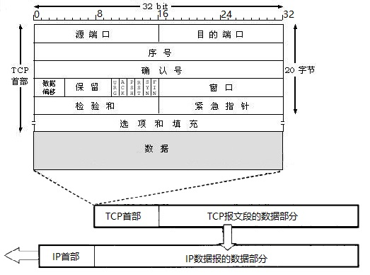 TCP的报文格式