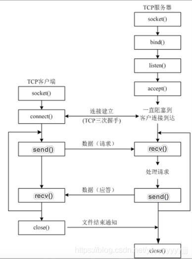 tcp服务端程序开发流程