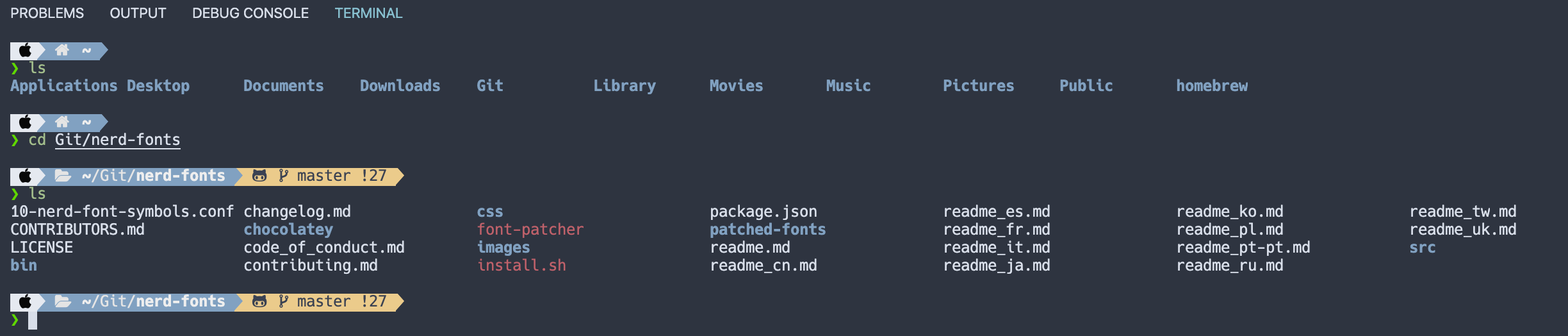 漂亮的终端：zsh+zim+powerlevel10k+nerd font_卸载powerlevel10k-CSDN博客
