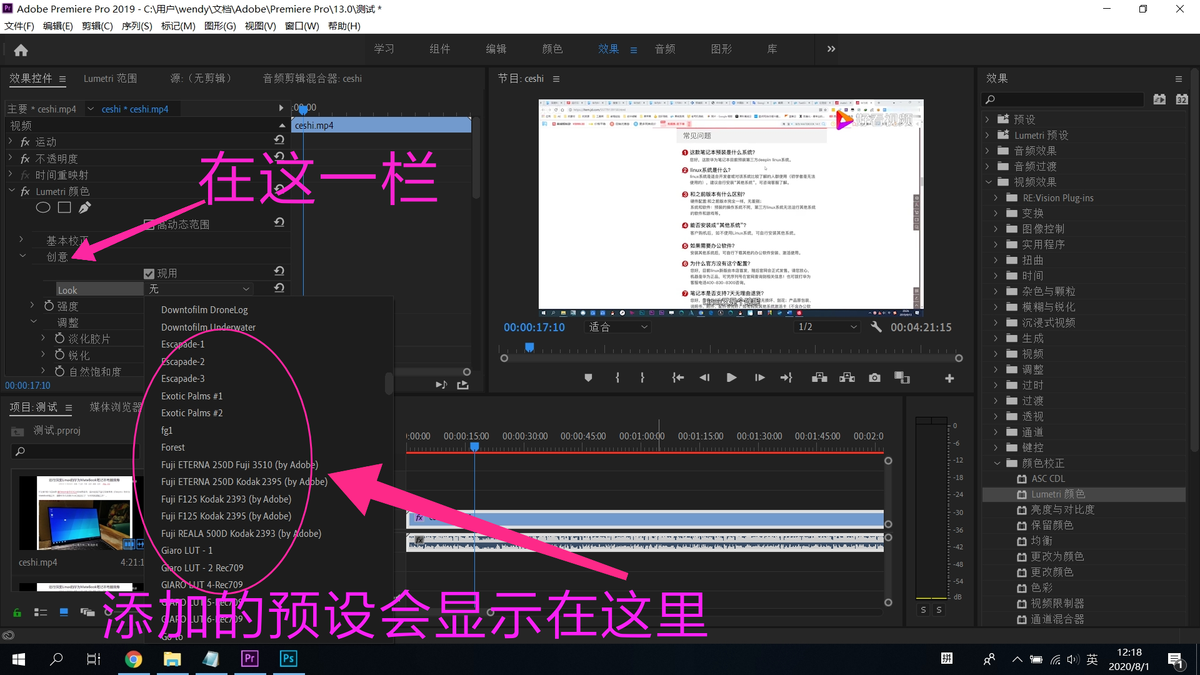 PR导入LUTS