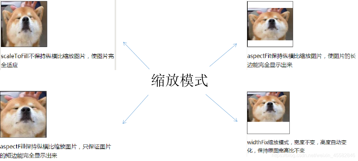 ここに画像の説明を挿入