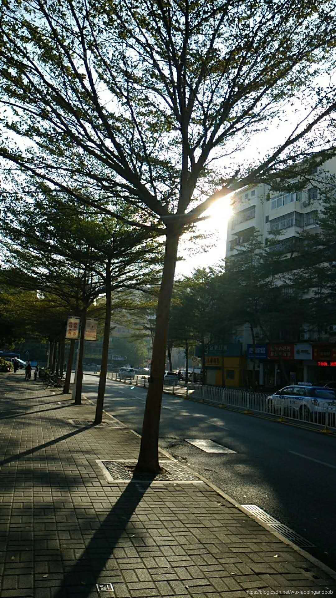 我在深圳的三次工厂旅程 (一)