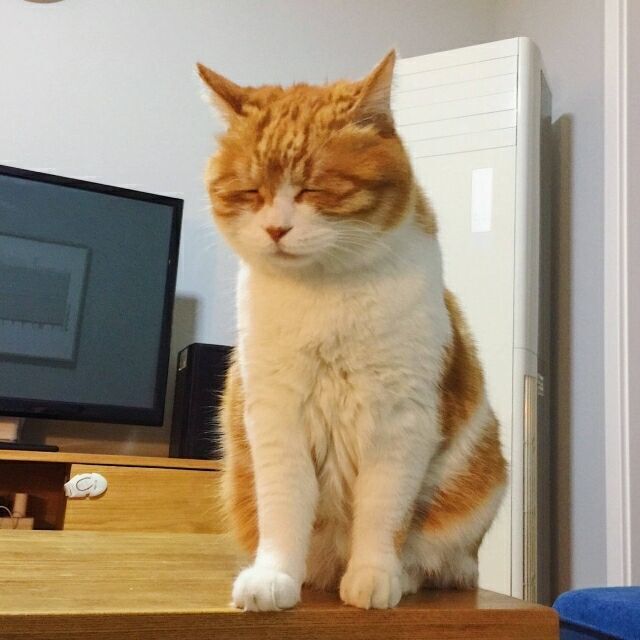 Python中使用ascii_art库输出ASCII艺术风格图片_python里ascii一个好看的图像-CSDN博客