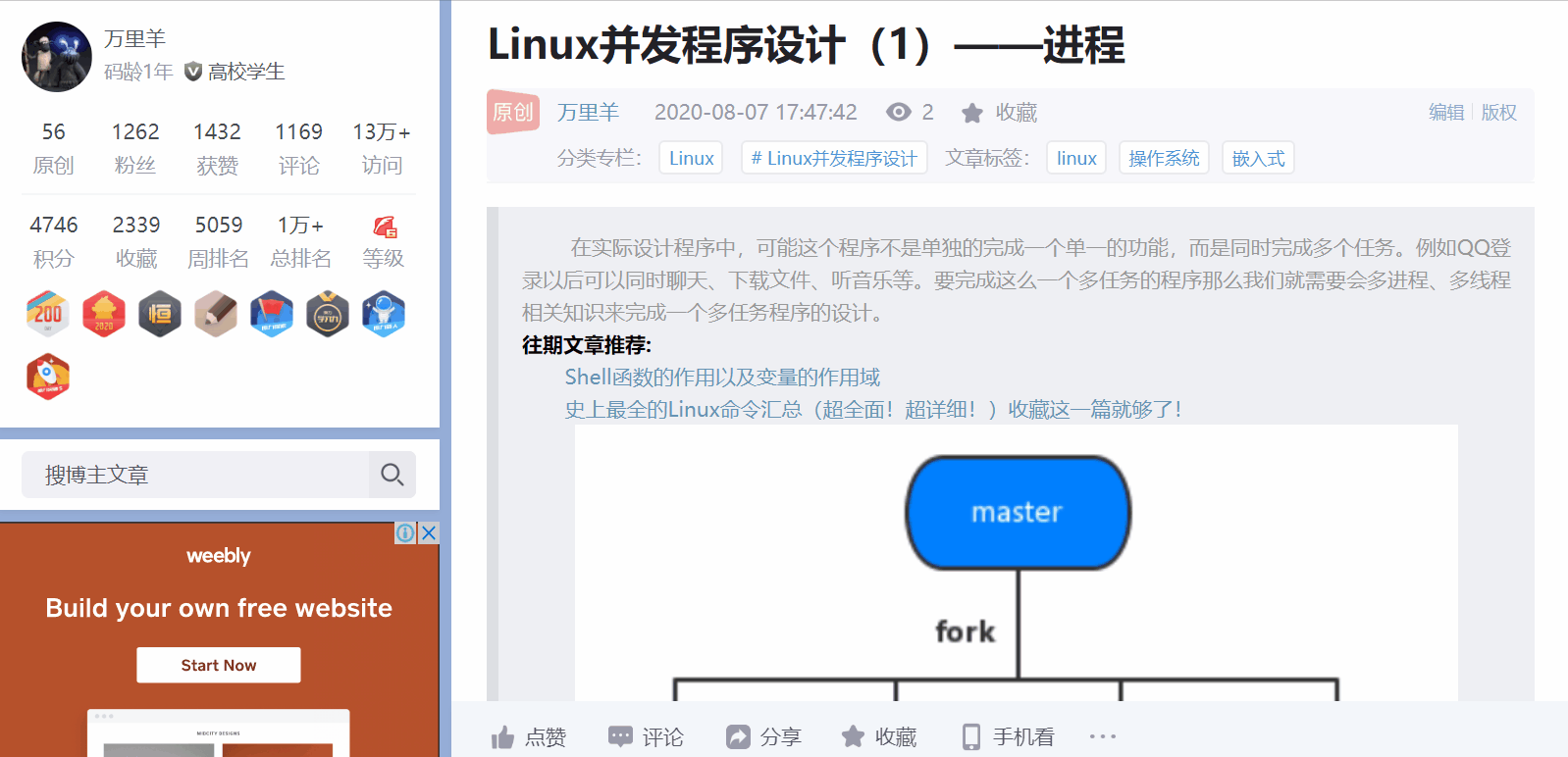 Linux并发程序设计（1）——进程万里羊的博客-
