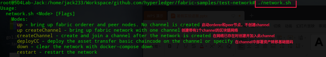 network.sh说明