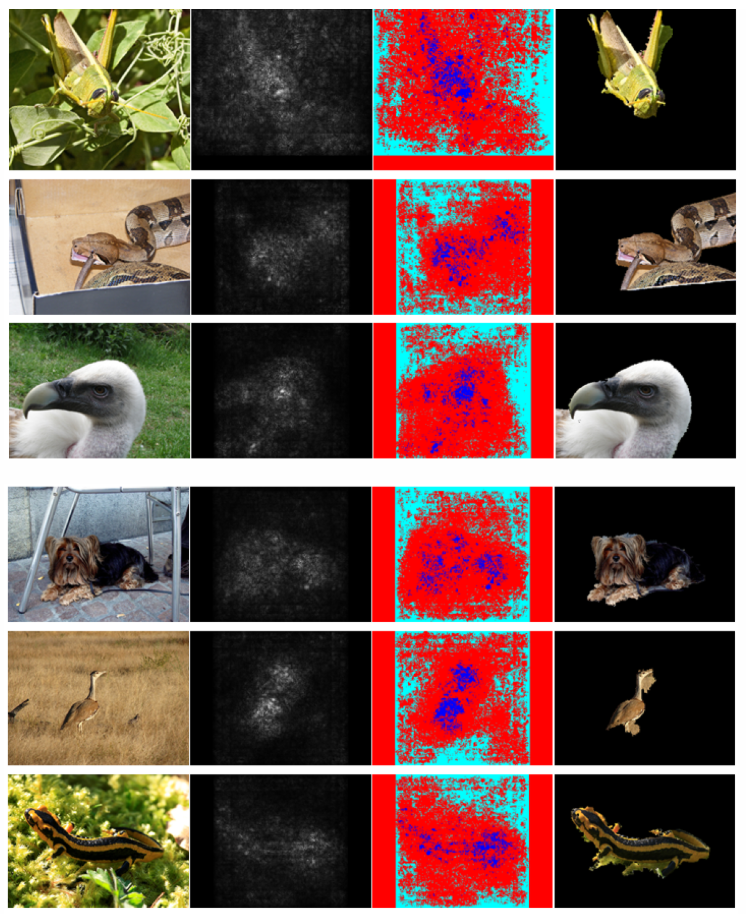 ICLR2014：论文解读与复现《Deep inside CNN：Visualising Image Classification ...
