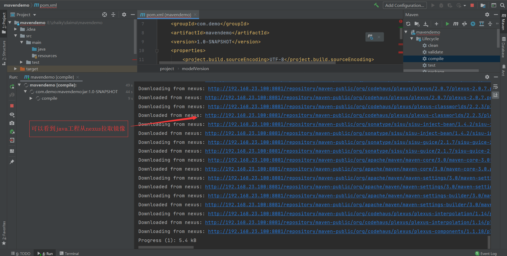 搭建nexus+java+maven开发环境_nexus jdk11-CSDN博客