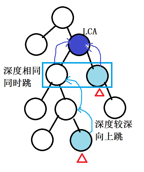 LCA学习笔记_什么叫结点的公共祖先-CSDN博客