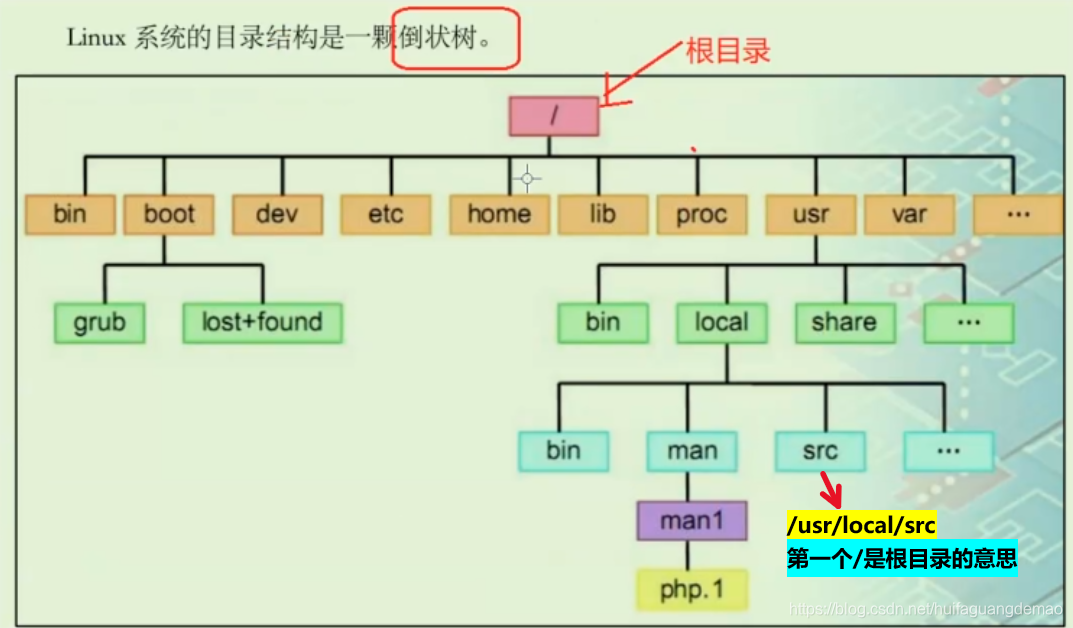 目录树directory tree