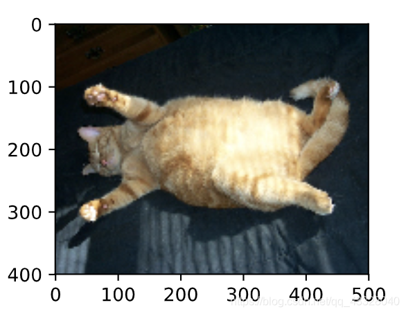 pytorch学习笔记(三十八):Image-Augmentation逐梦er的博客-