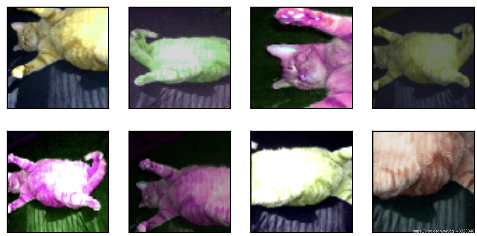 pytorch学习笔记(三十八):Image-Augmentation逐梦er的博客-