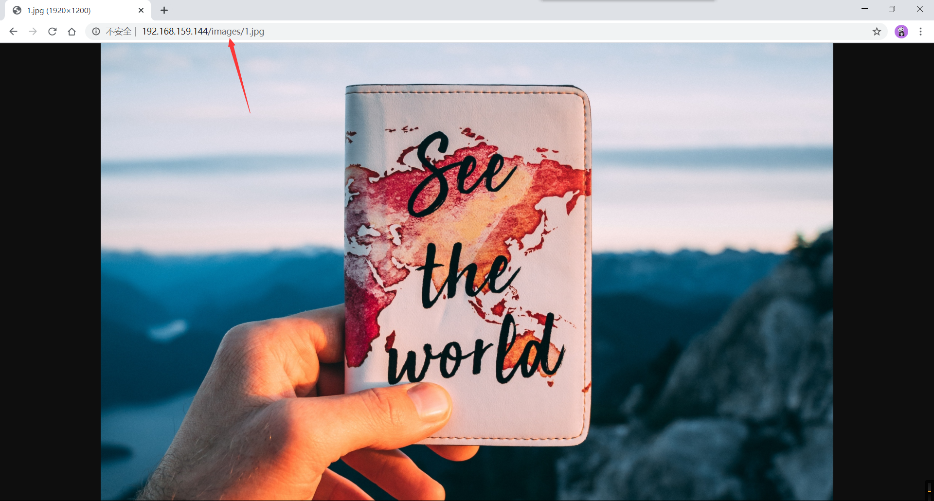 在这里插入图片描述