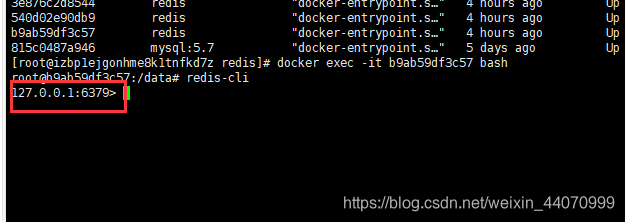 进入容器的6379端口