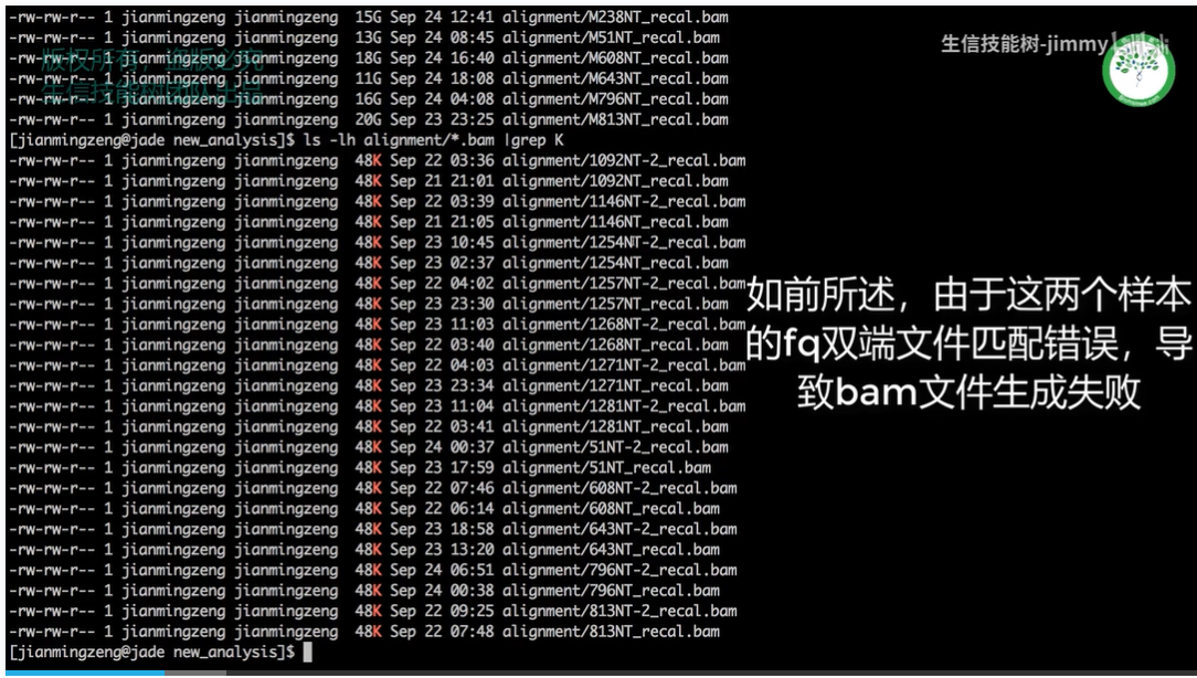 生信技能树 linux下安装bowtie2和使用bowtie2进行初步比对