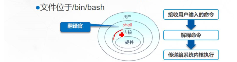 Linux中常用命令集合与方便灵活的shell 八橘子的博客 Csdn博客