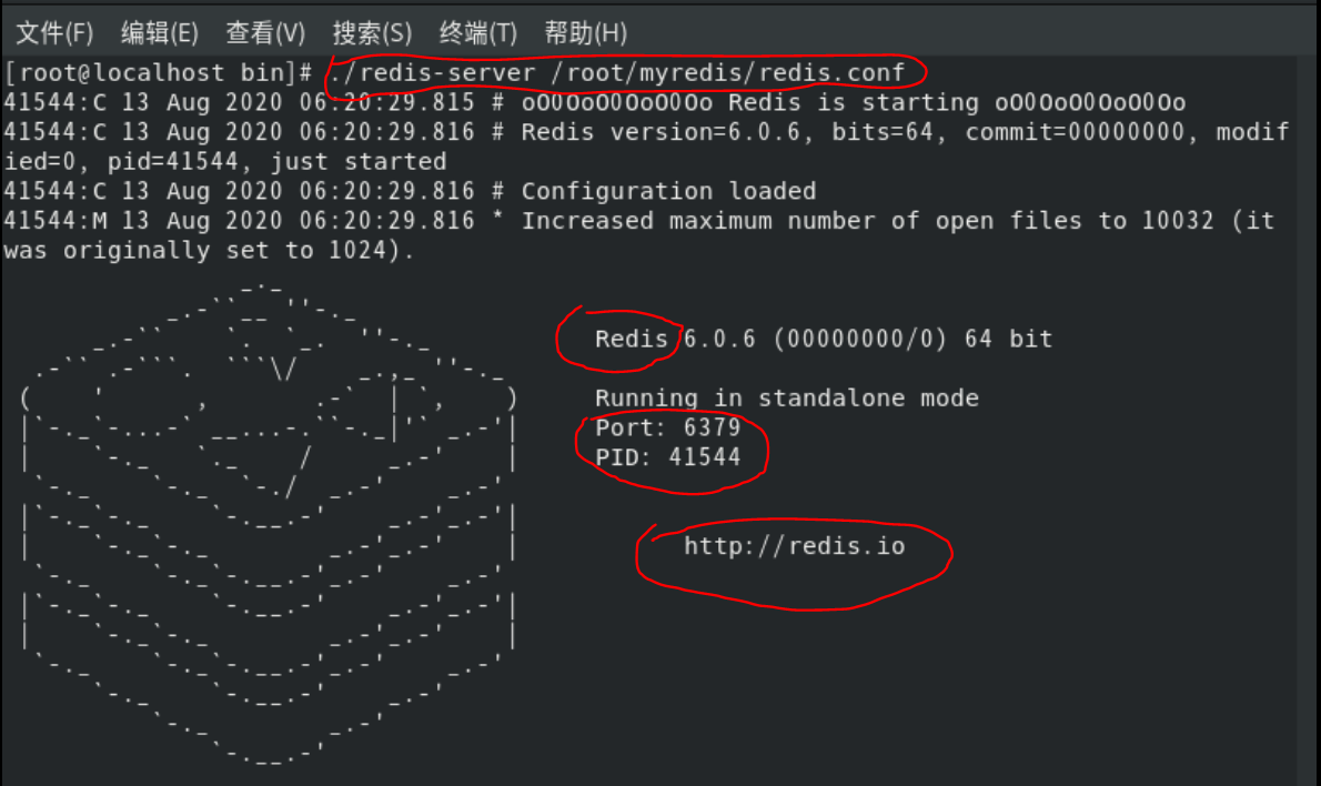 【redis入门】Centos下安装redis看，未来的博客-