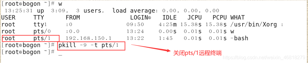 ここに画像の説明を挿入