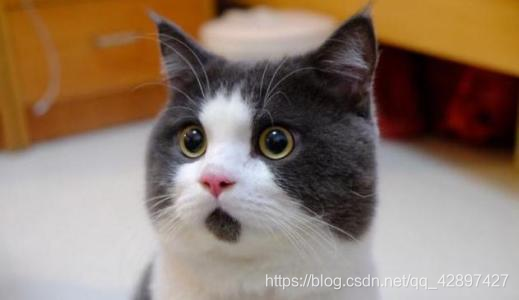 ! 初级程序员都能理解的 Kubernetes半杯水-