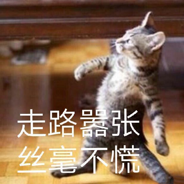 实践无人驾驶—简介、软件部署和车辆标定
