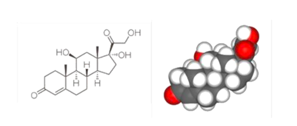 molecular graph