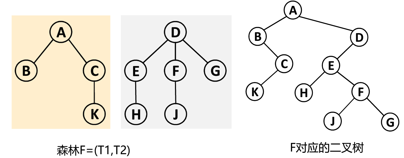 森林与二叉树