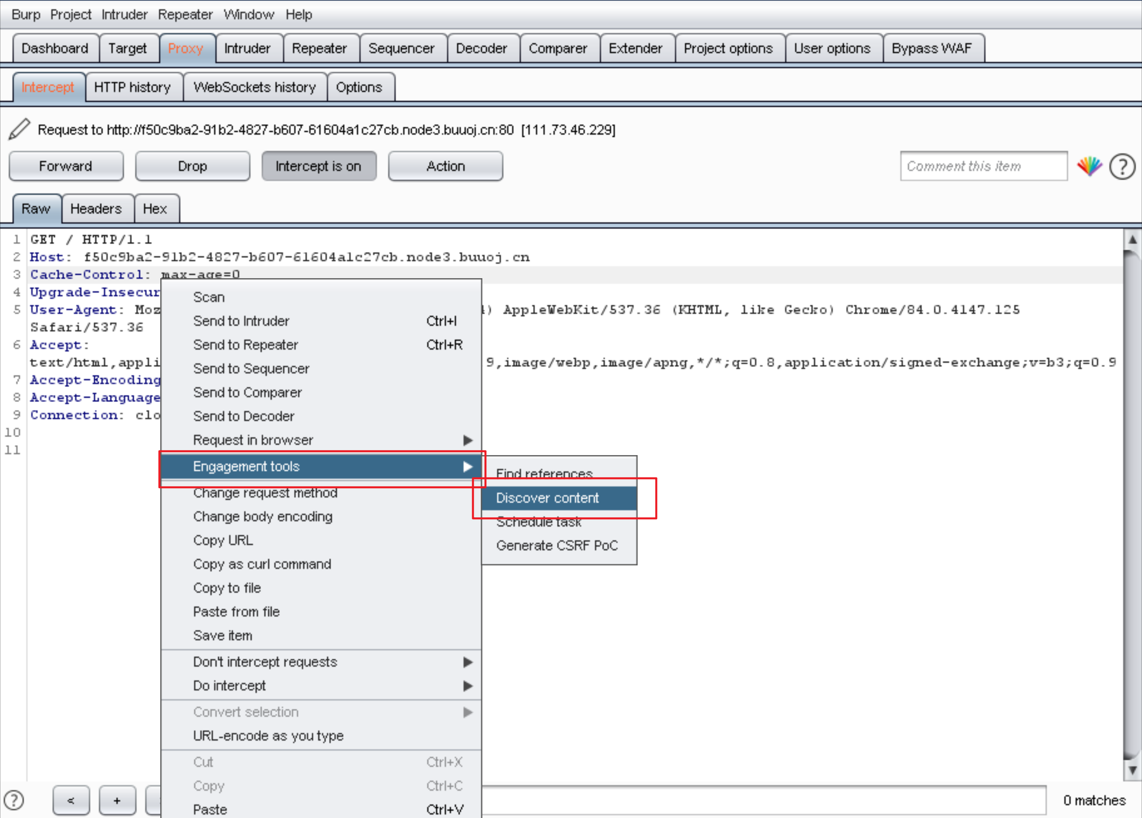 burp suite spider