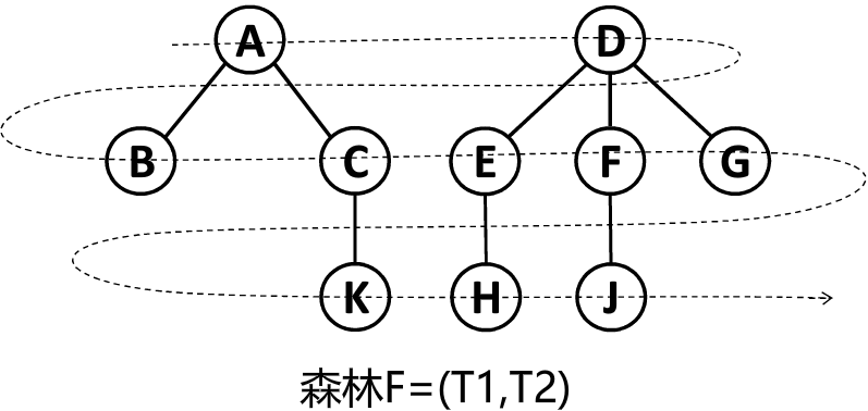 森林层次遍历