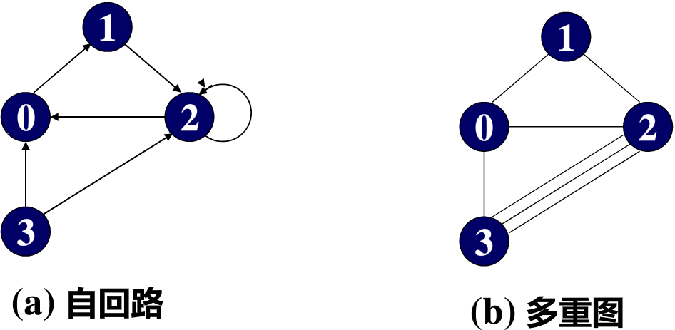 自回路和多重图