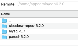 Cloudera Manager集群(CDH6.2.0.1)完整搭建指南 