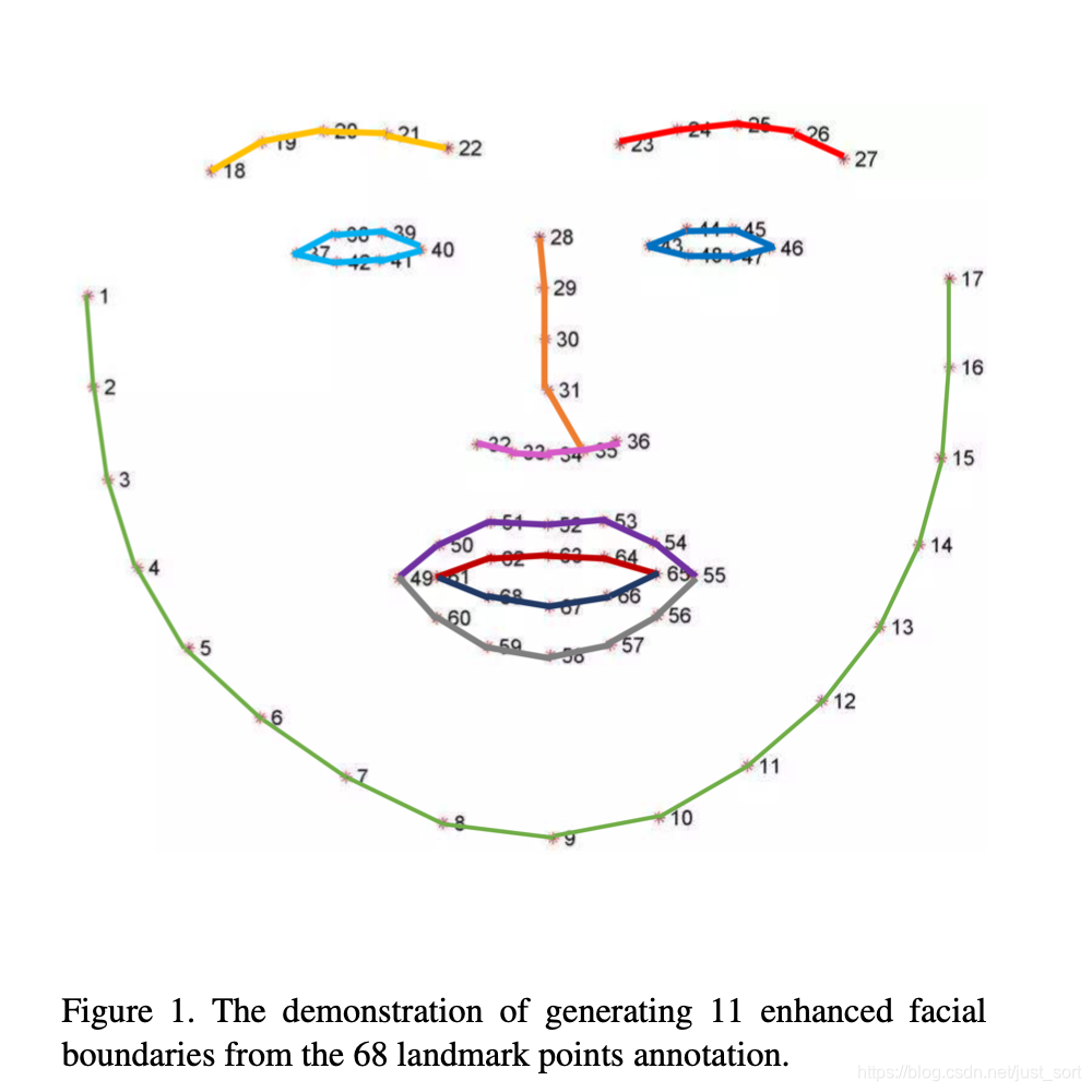 人脸边缘线示意图