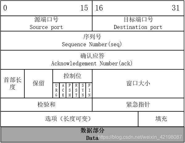 TCP报文格式