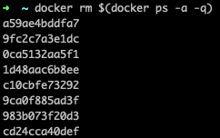 docker rm $(docker ps -a -q)