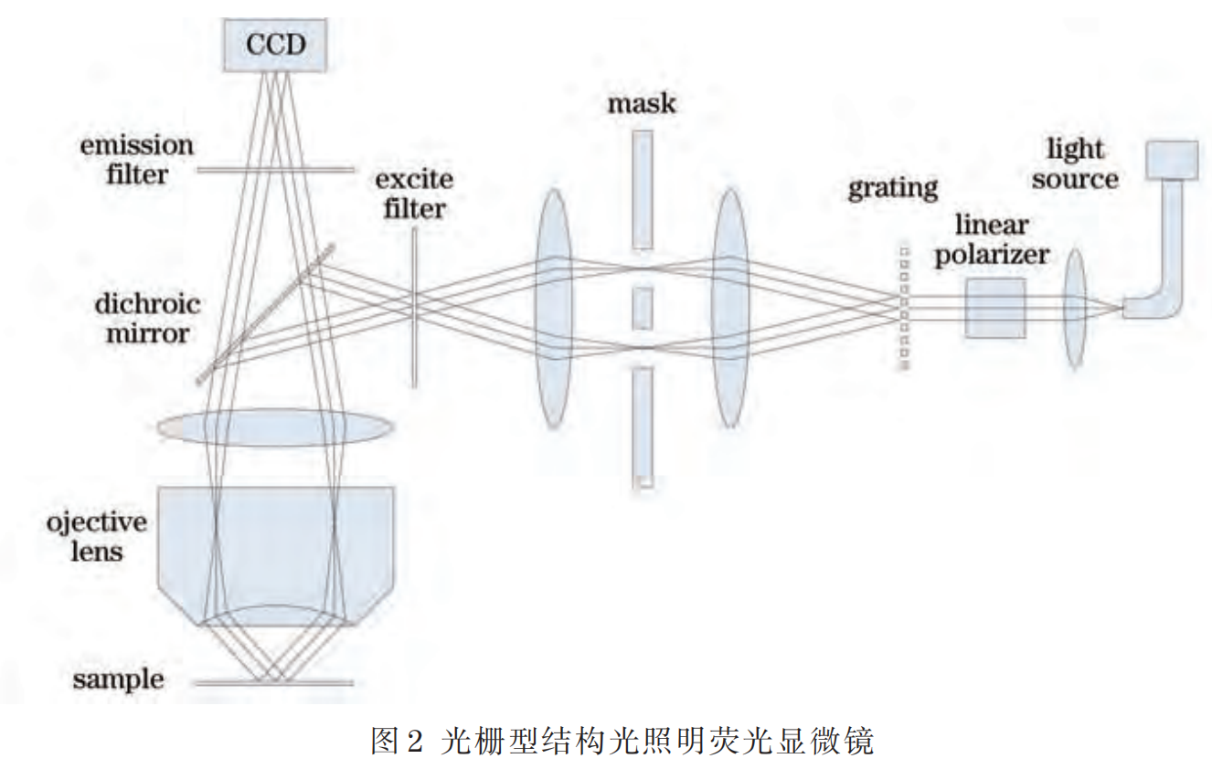 结构光照明荧光显微镜(一)