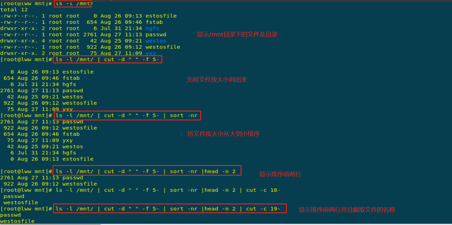 SHELL中的部分命令 cut、sort、uniqtr、tr、test_shell cut outputdelimiter==\t