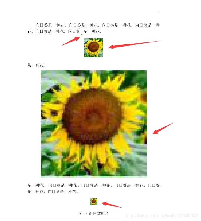 Latex图片插入 图文并排 图文分开 位置浮动图片加图形标注 执念斩长河 程序员资料 Latex 图片浮动 程序员资料