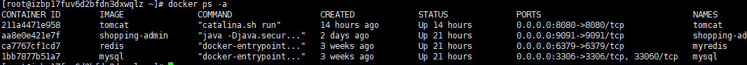 docker ps -a