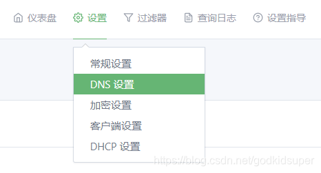 DNS设置