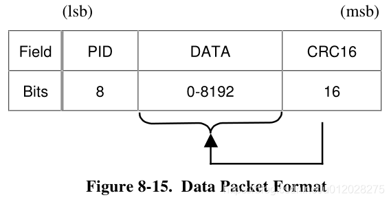 Data Packet Format