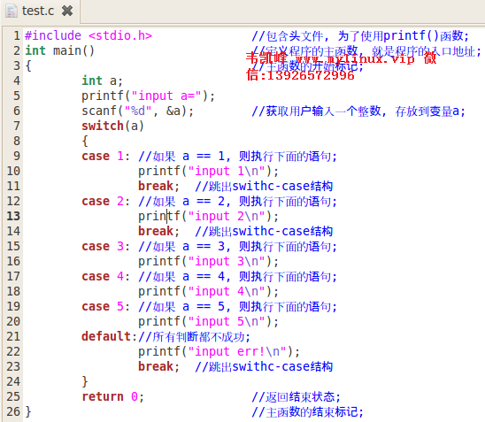switch-case多分支选择语法_c语言中case后面怎么放比较-CSDN博客