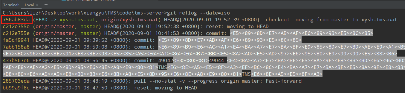 1-idea-delete-tracked-branch-csdn