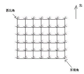 摘花生问题