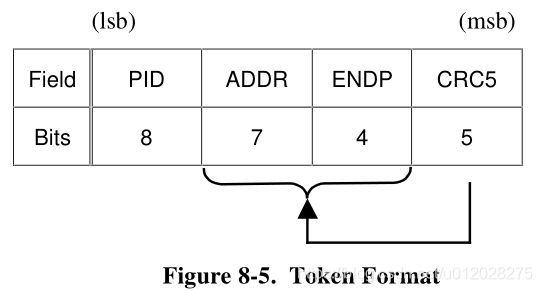 Token Packets格式