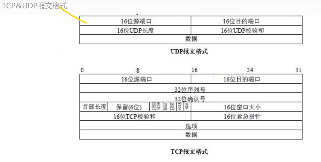 TCP,UDP,IP包头格式及说明_udp包头-CSDN博客