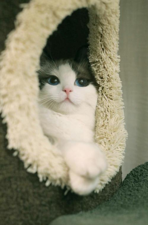 watermark,type_ZmFuZ3poZW5naGVpdGk,shadow_10,text_aHR0cHM6Ly9ibG9nLmNzZG4ubmV0L3dlaXhpbl80NTEzNTc2Nw,size_16,color_FFFFFF,t_70