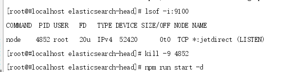 Fatal error: Port 9100 is already in use by another process.