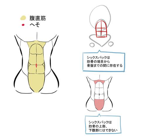 腹肌怎么画出三维效果零基础绘画入门教程
