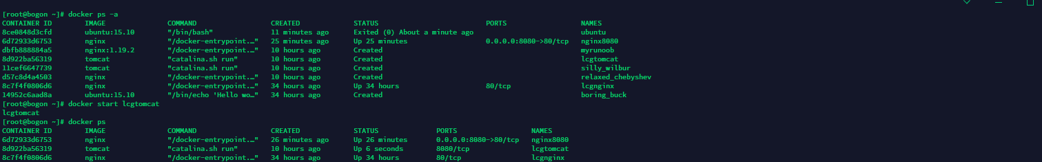 Docker container creation and startup - Programmer Sought