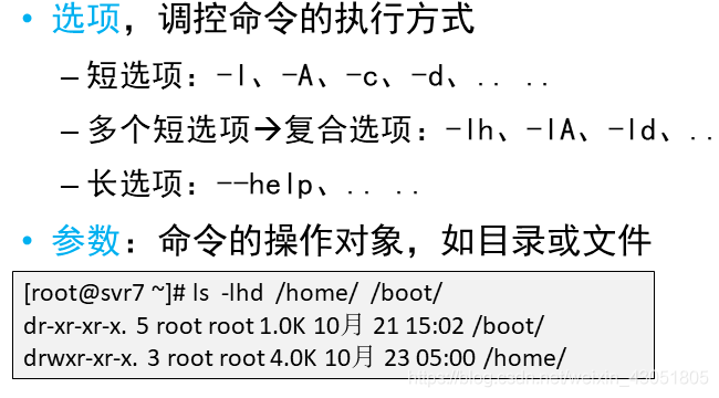 ここに画像の説明を挿入